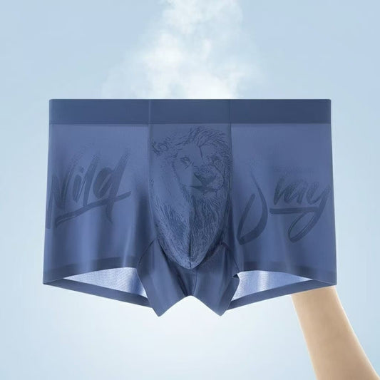 Royal Champion Sports Wear Boxer – Breathable, Comfortable, All-Day Support | Blue