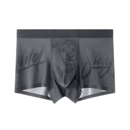 Royal Champion Sports Wear Boxer – Breathable, Comfortable, All-Day Support | Charcoal Gray