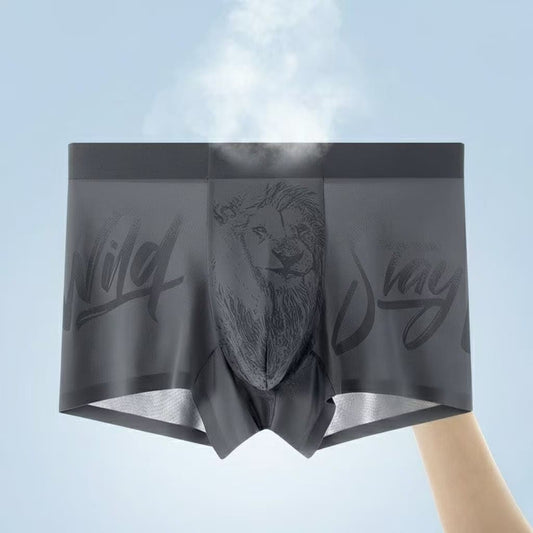 Royal Champion Sports Wear Boxer – Breathable, Comfortable, All-Day Support | Charcoal Gray