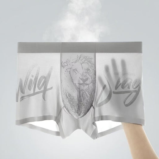 Royal Champion Sports Wear Boxer – Breathable, Comfortable, All-Day Support | Ice Gray