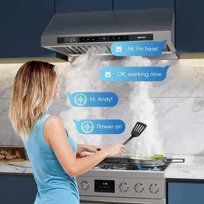 BRANO | DC Motor Series 30-Inch Under-Cabinet Range Hood Silver | 120V，1200CFM Brushless 6-Speed, Voice & Gesture Control, LED Lighting, Baffle Filters
