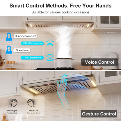 BRANO Range Hood Insert 30 Inch, 900 CFM Smart Voice/Gesture/Touch Control, 4 Speed Exhaust Fan, Stainless Steel Kitchen Hood with Charcoal Filter, Ducted/Ductless Convertible