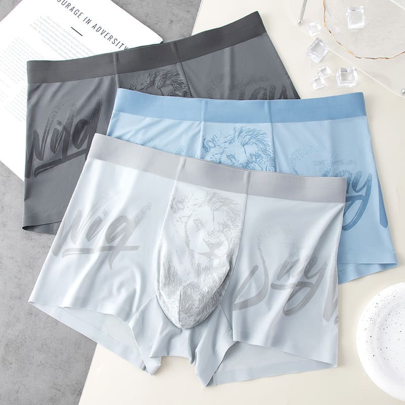 Royal Champion Sports Wear Boxer – Breathable & Comfortable| 2,3,4-Pack Combo (Gray, Ice Gray, Blue, Ice Blue)