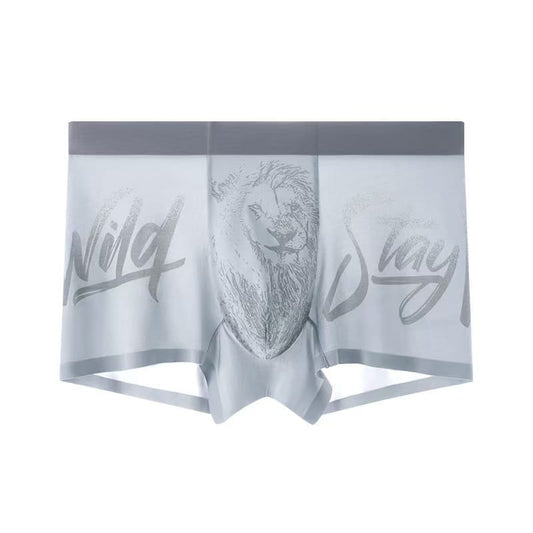 Royal Champion Sports Wear Boxer – Breathable, Comfortable, All-Day Support | Ice Gray