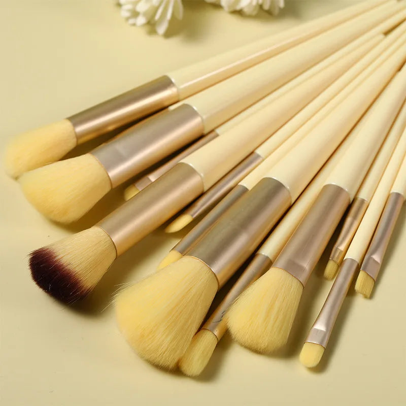 13 Piece Soft Makeup Brushes Set With Travel Case For Eye Face Cosmetics